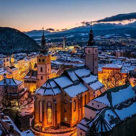 Komfortny Apartman So Zahradou A Sukromnym Parkoviskom-Nonstop Check-In Банска бистрица Екстериор снимка