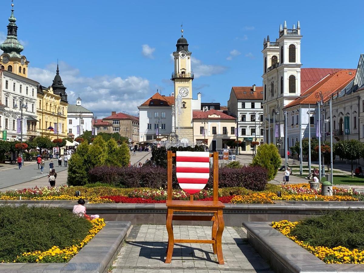 Komfortny Apartman So Zahradou A Sukromnym Parkoviskom-Nonstop Check-In Банска бистрица Екстериор снимка